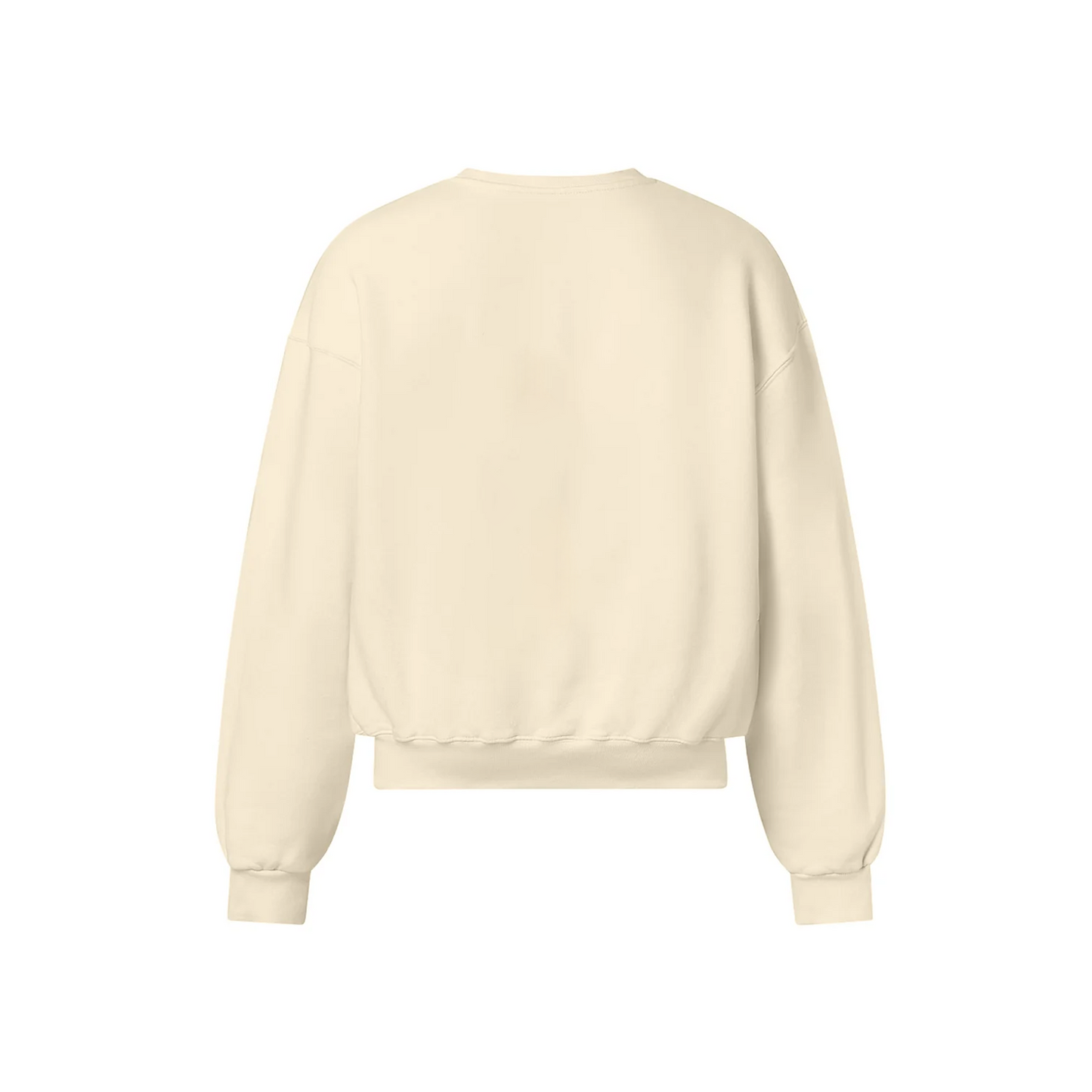HISTORY OF PANJAB OVERSIZED SWEATSHIRT