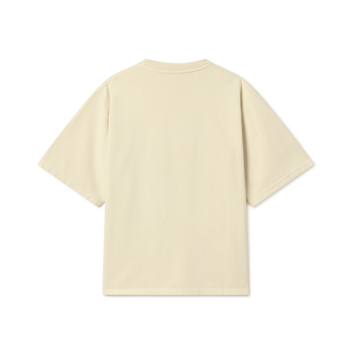 HISTORY OF PANJAB OVERSIZED T-SHIRT