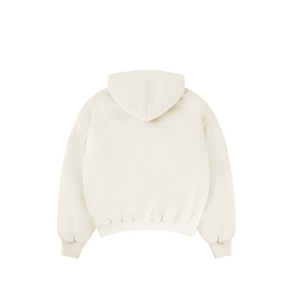 HISTORY OF PANJAB BOXY HOODIE