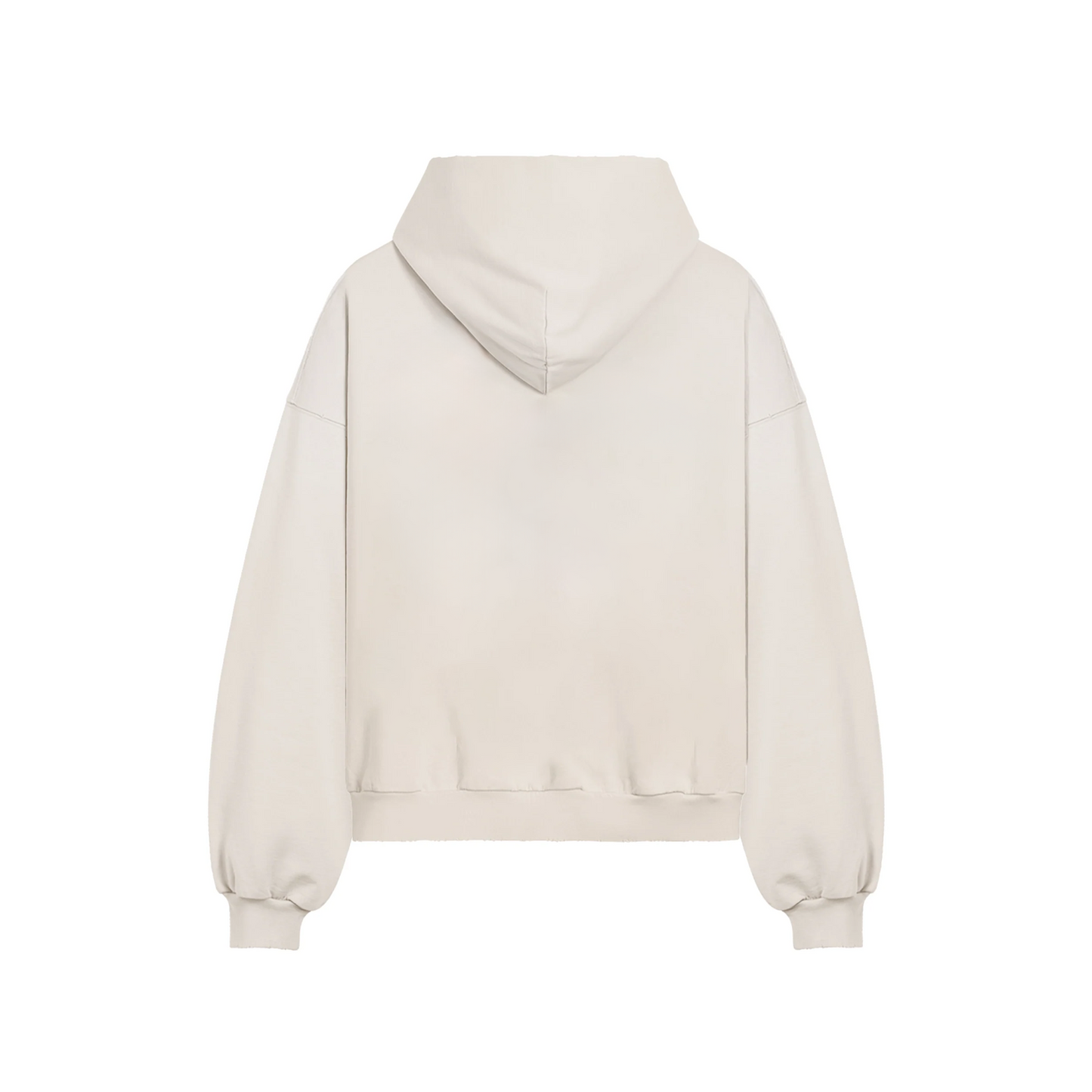 HISTORY OF PANJAB BOXY DISTRESSED HOODIE