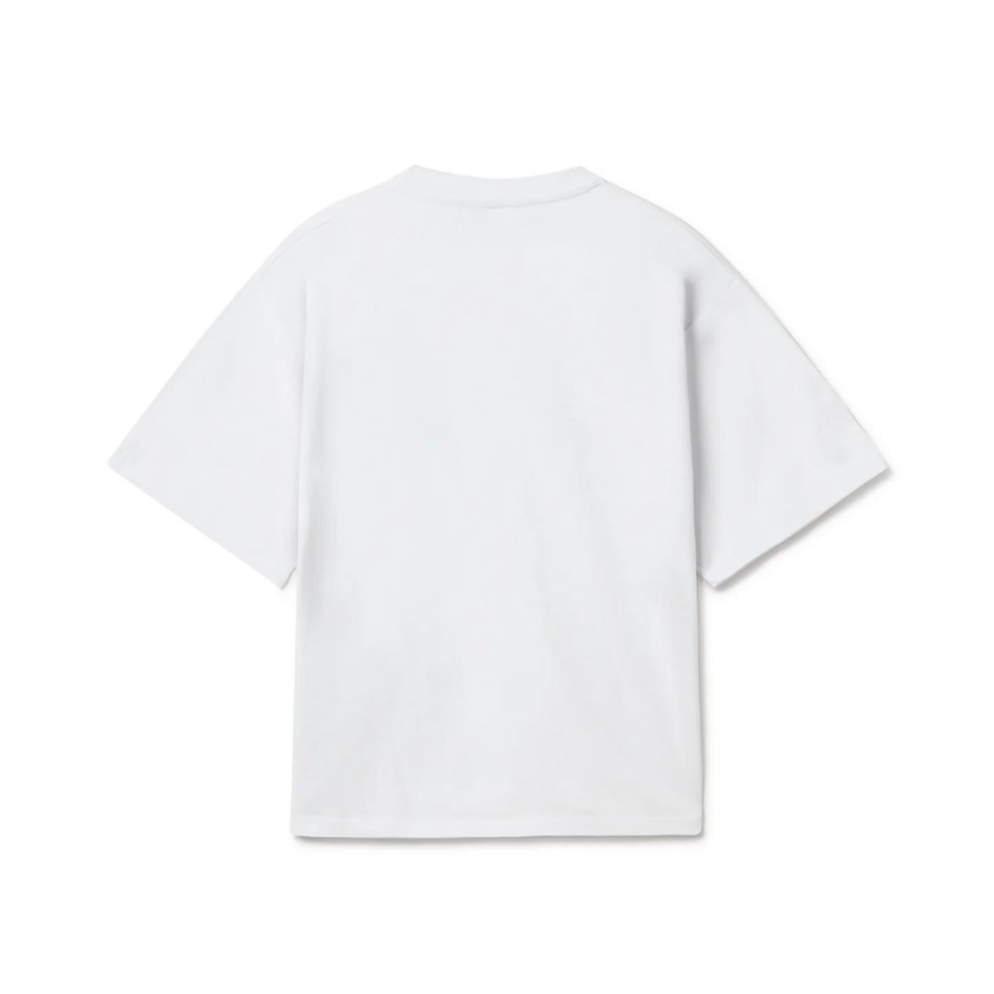 HISTORY OF PANJAB OVERSIZED T-SHIRT